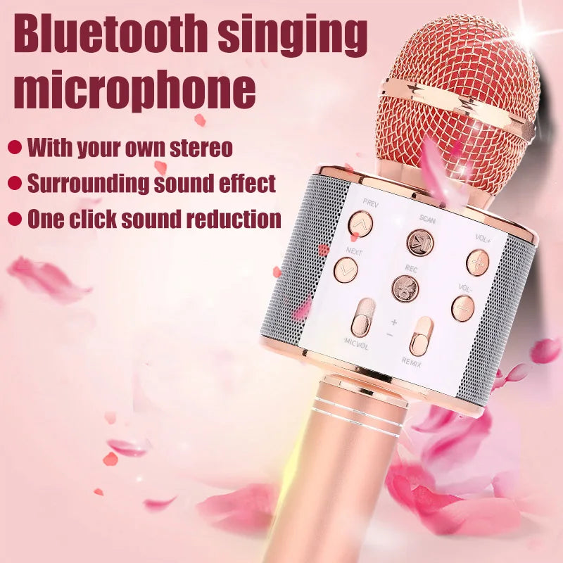 SingStar™ WS858 Karaoke Microphone